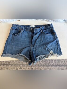 Abercrombie & Fitch Curve Love Mom Shorts